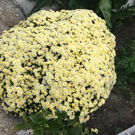 Al Miradouro Do Outeiro *