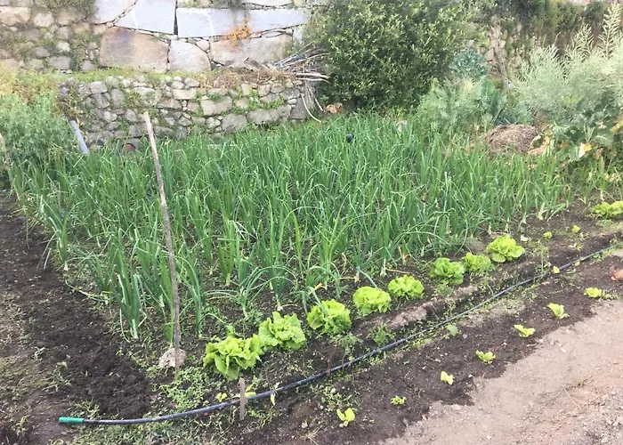 Al Miradouro Do Outeiro * Guarda