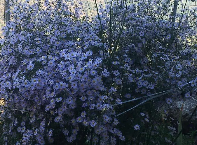 Al Miradouro Do Outeiro Semesterbostad Guarda